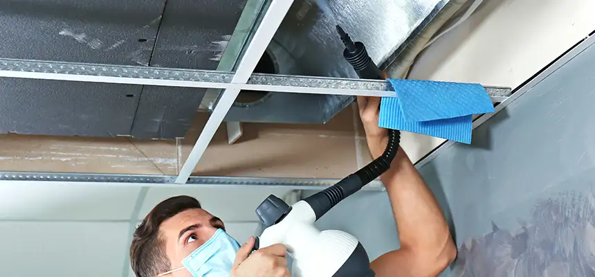 Our Air Duct Rodent Removal Services in Rochester Hills, MI