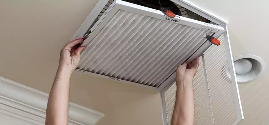 Our Insect Removal from Air Ducts Services in Rochester Hills, MI