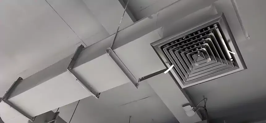 Our Pest Removal From Ducts Services in Rochester Hills, MI