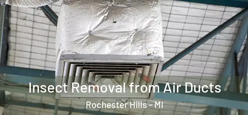 Insect Removal from Air Ducts Rochester Hills - MI