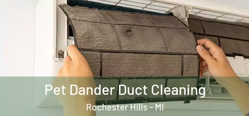 Pet Dander Duct Cleaning Rochester Hills - MI