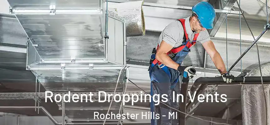  Rodent Droppings In Vents Rochester Hills - MI