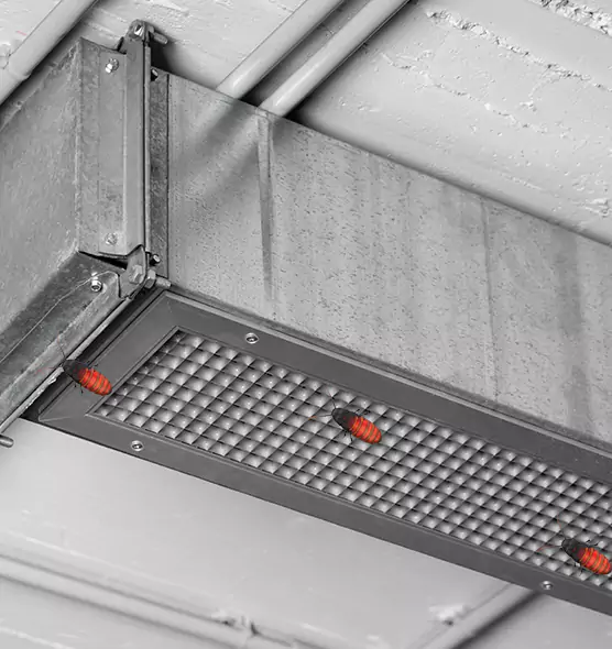 About Air Duct Cockroach Removal in Rochester Hills, MI