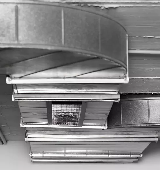 Professional Air Duct Pest Removal in Rochester Hills, MI