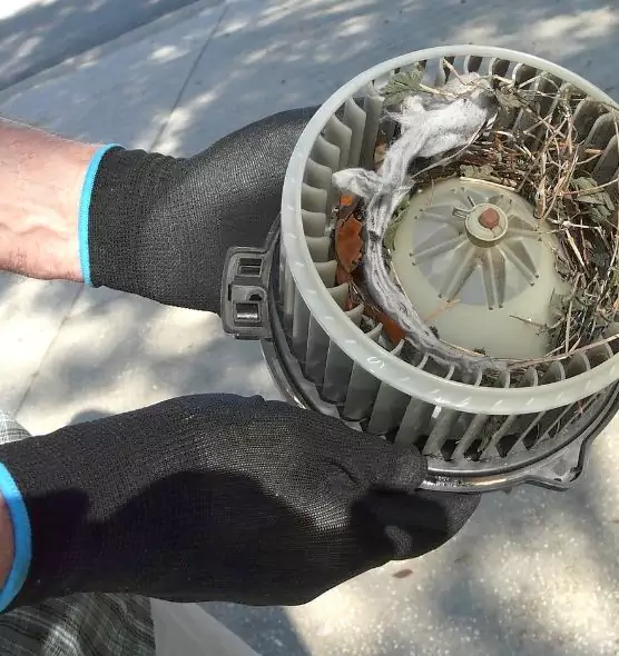 About Air Duct Rat Removal in Rochester Hills, MI