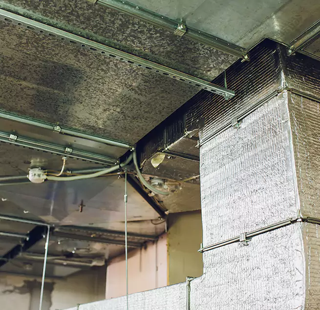 Why Homeowners & Businesses Trust Us in Rochester Hills, MI?